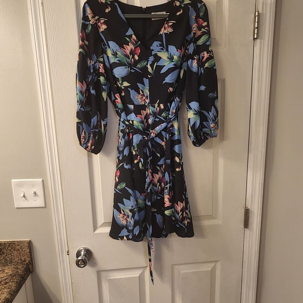Eliza J Balloon Sleeve Dress
